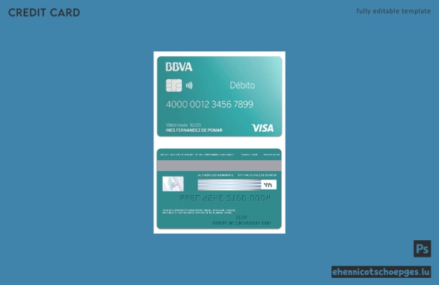 Beispielvorschau der spanischen BBVA Bank Visa Debitkarte